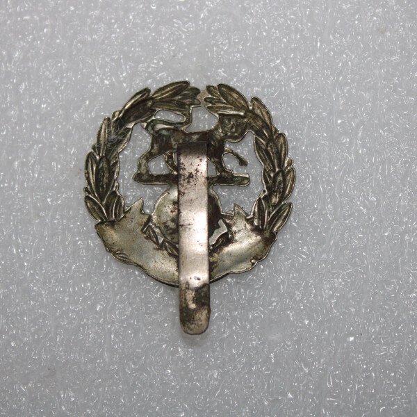 Cap badge Hampshire