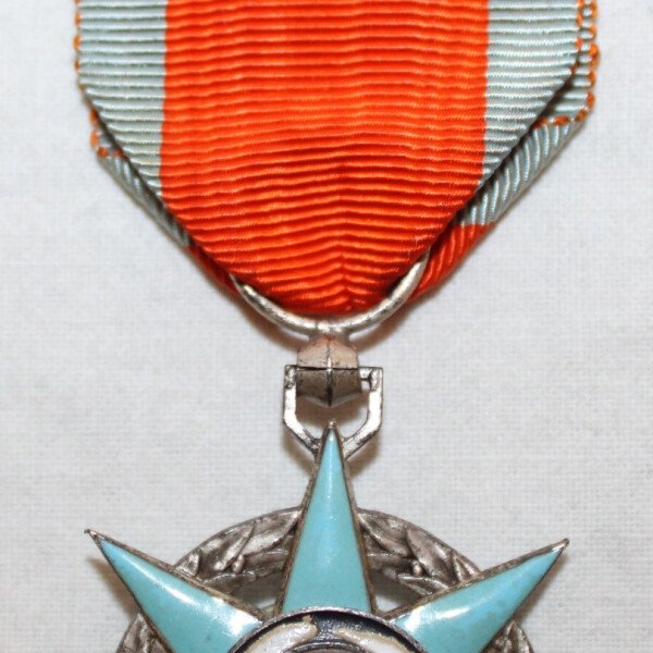 Médaille du mérite social