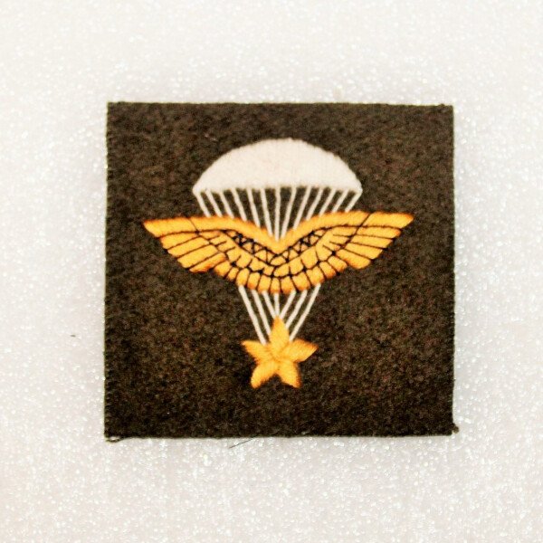 insigne compagnie d'infanterie de l'air