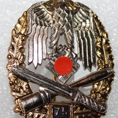 Badge assaut général 75