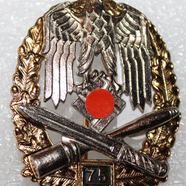 Badge assaut général 75