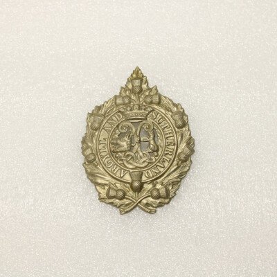 Cap badge A&sh
