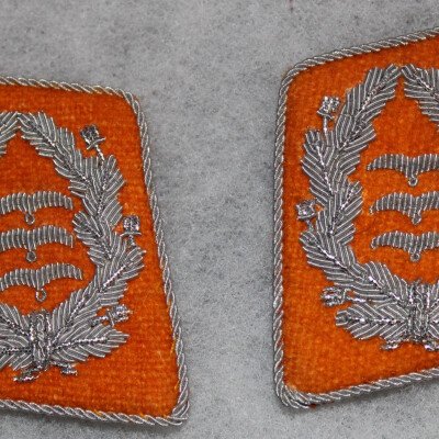 Pattes de col Oberst des personnels de réserves