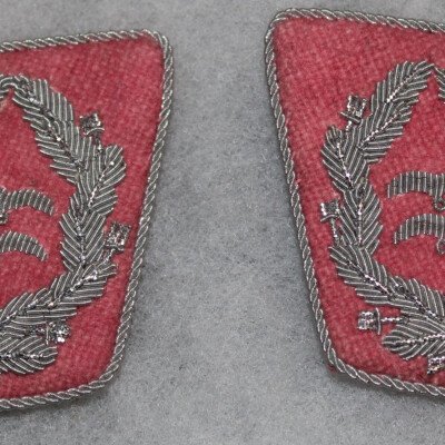 Pattes de col OberstLeutnant, unités du génie