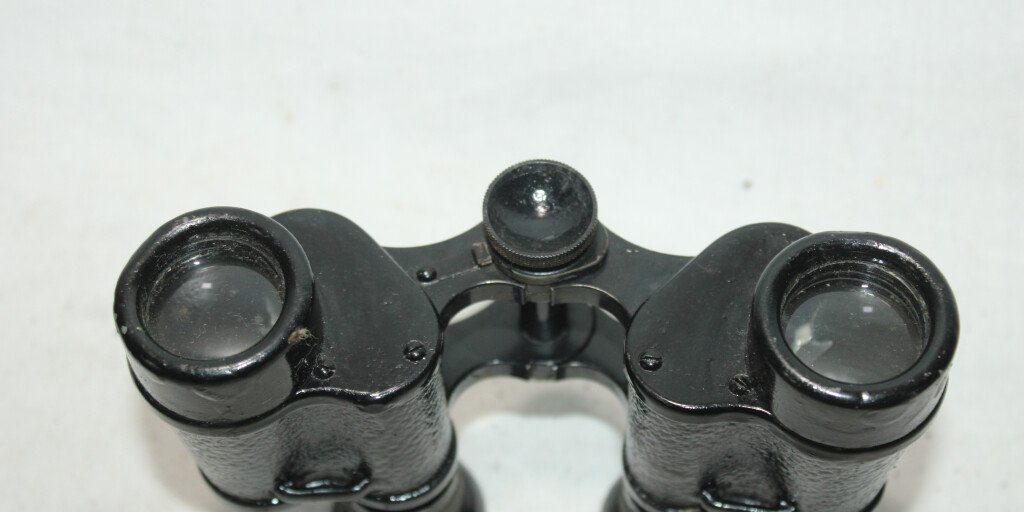 JUMELLES WW2 CARL Zeiss 8x30 B.C. N°7 Armée Roumaine EUR 533,71
