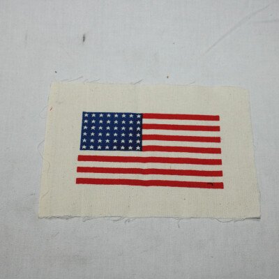 Drapeau de manche