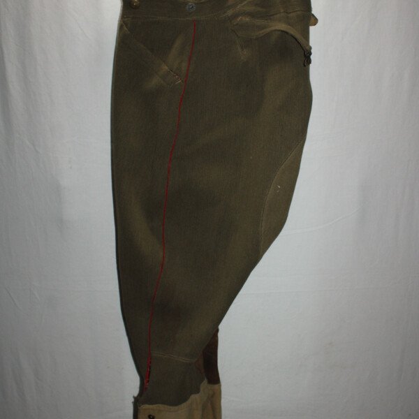 Culotte de cavalerie Kaki