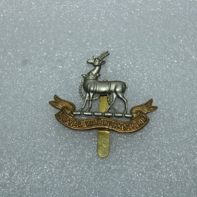 Cap badge Royal warwickshire