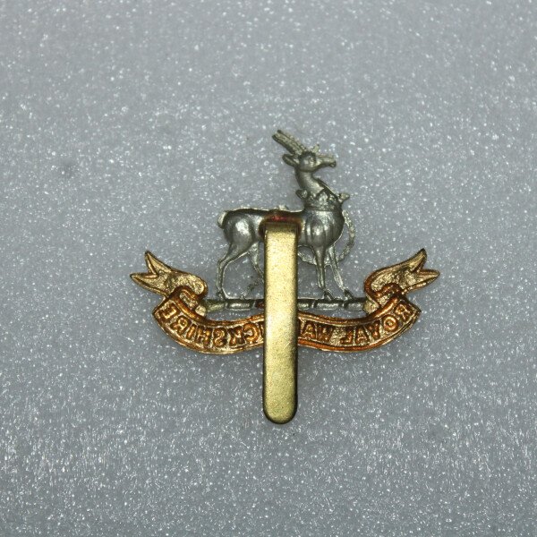 Cap badge Royal warwickshire