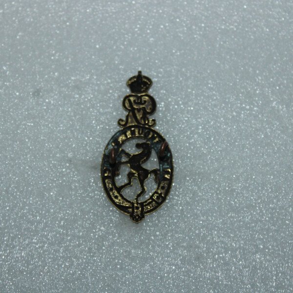 Cap badge ARS
