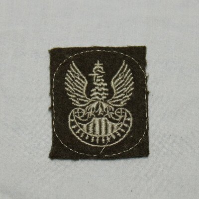 Insigne de béret polonais