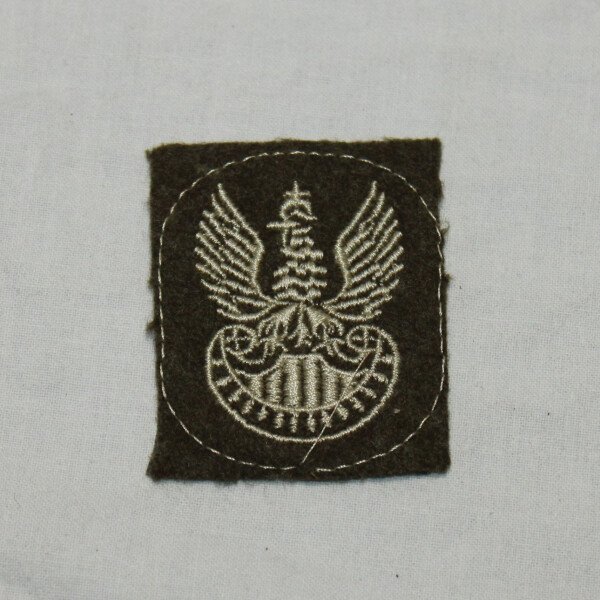 Insigne de béret polonais