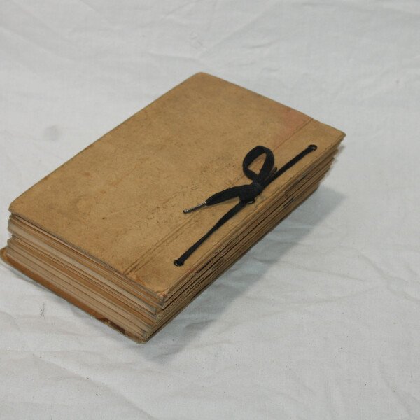 14 Manuels d'exercice Nominatif 55th RCA