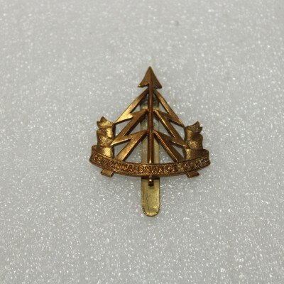 Cap badge reconnaissance