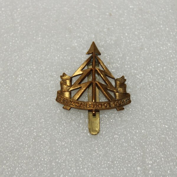 Cap badge reconnaissance