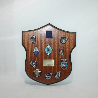 Plaque souvenir 420 dsl