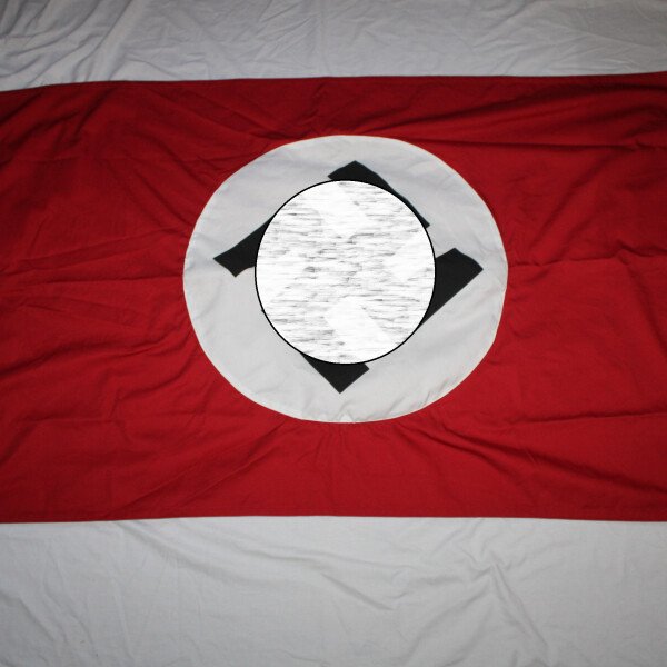 Drapeau du parti