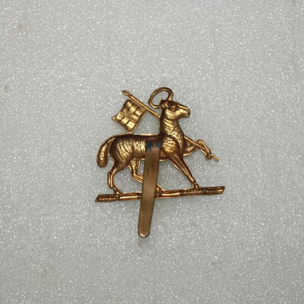 Cap badge Queen's Reg