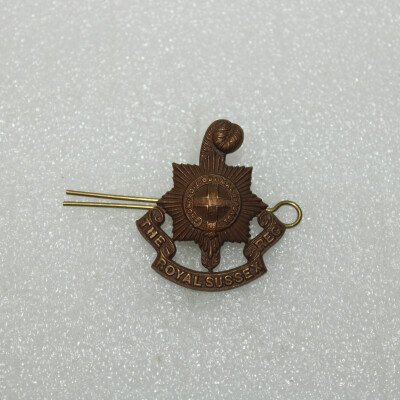 Cap badge Royal sussex off
