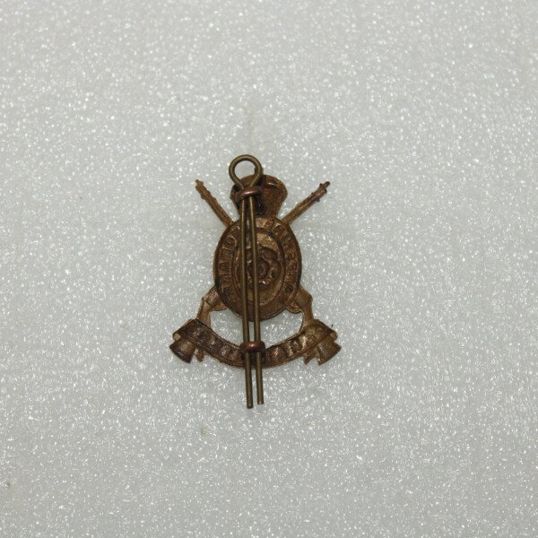 Cap badge Hampshire Yéo