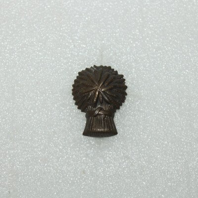 Cap badge Lothians & Border