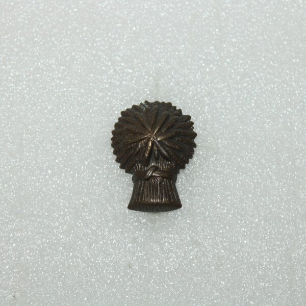 Cap badge Lothians & Border