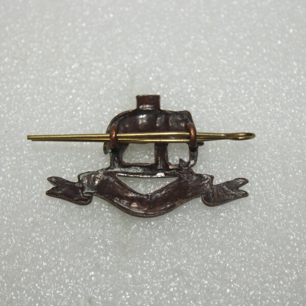Collar badge duke of Wellington's