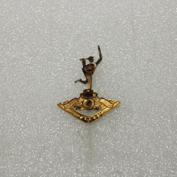Collar badge signal austalien
