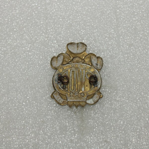 Cap badge PWOR