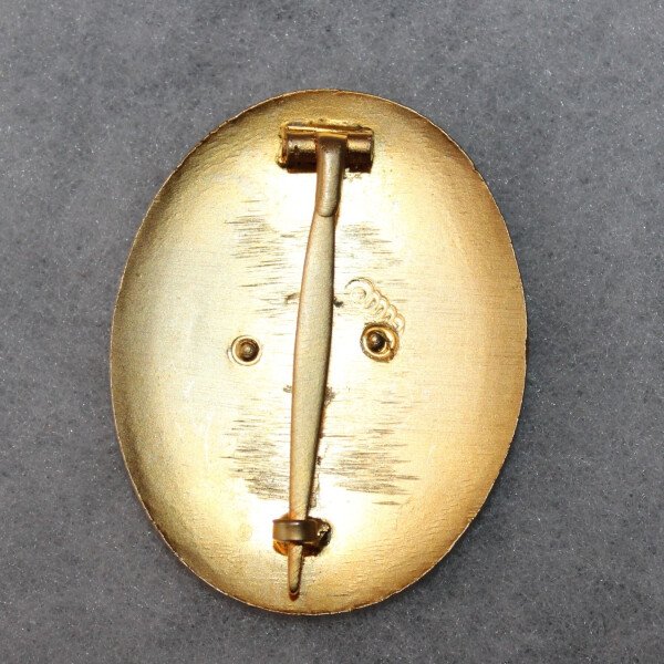 insigne de guide de montagne