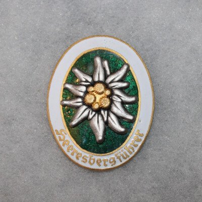 insigne de guide de montagne