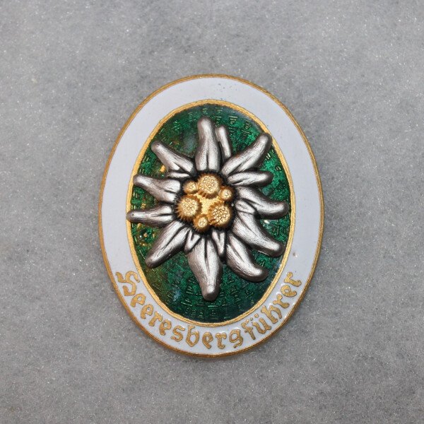 insigne de guide de montagne