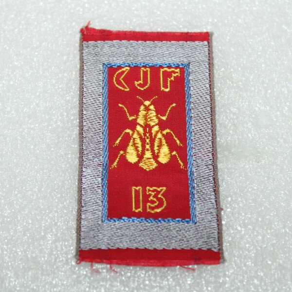 CJF N°13 type 2 gris