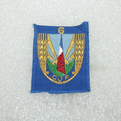 CJF N°6 béret bleu