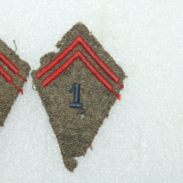Pattes de col 1er régiment de france