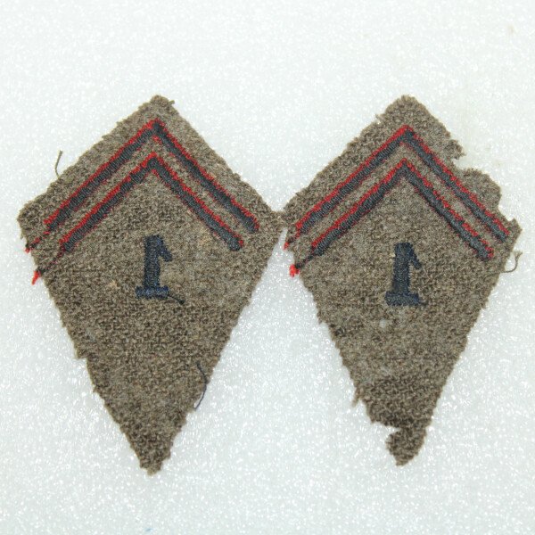 Pattes de col 1er régiment de france