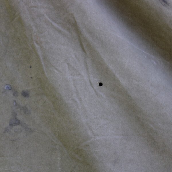Tente US OD7