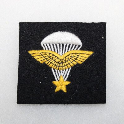 insigne compagnie d'infanterie de l'air ,noire