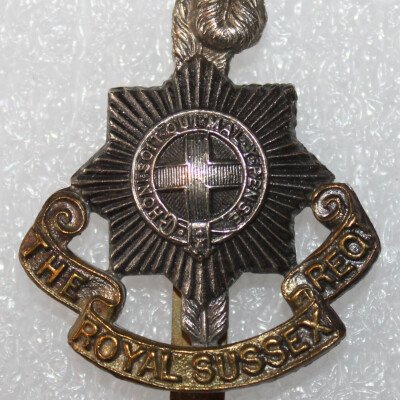 Cap badge royal sussex
